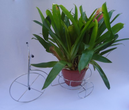 Suporte Vaso Triciclo com Cesto (Ref: 01)